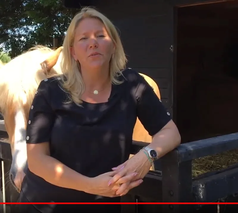 Bekijk video over paardencoaching